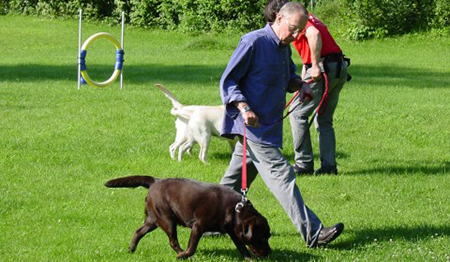People Walking Dogs