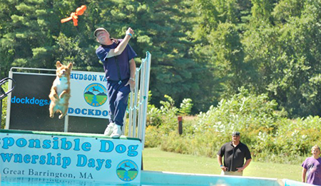 Performing Dog